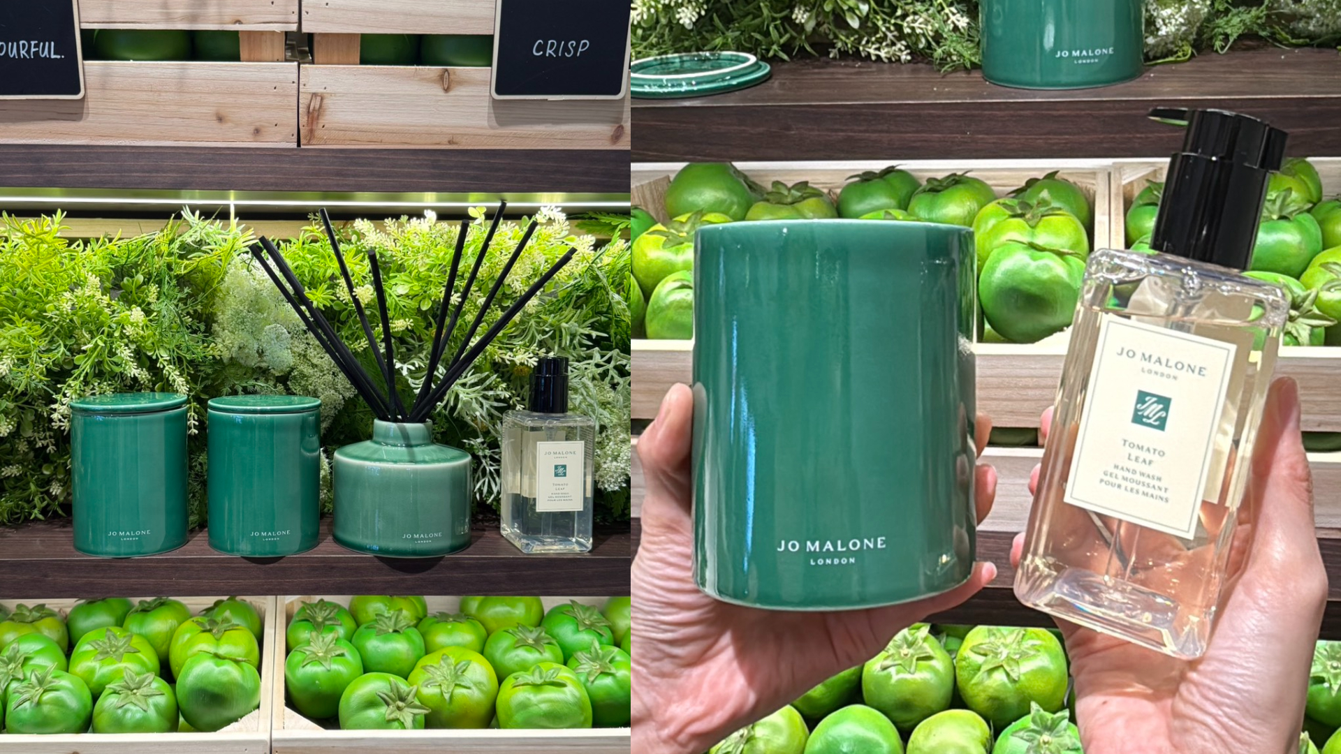 Jo Malone London Townhouse綠番茄藤香氛工藝限定版陶瓷蠟燭300g／5,200元；75g／2,000元、Jo Malone London Townhouse綠番茄藤限定版擴香350ml／8,100元；番茄葉手部清潔露250ml／2,050元。圖片：品牌提供